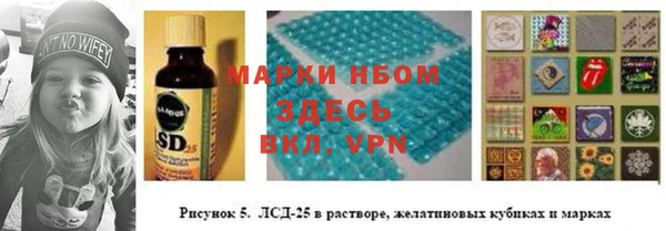 ПСИЛОЦИБИНОВЫЕ ГРИБЫ Балахна