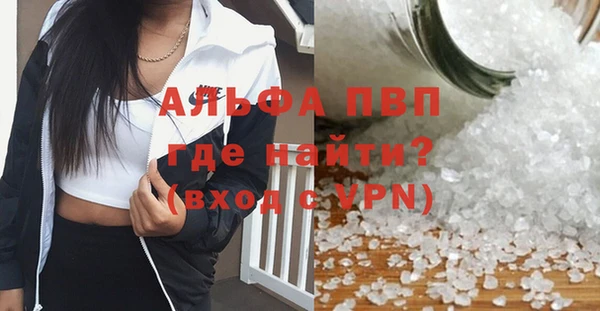 сатива Баксан