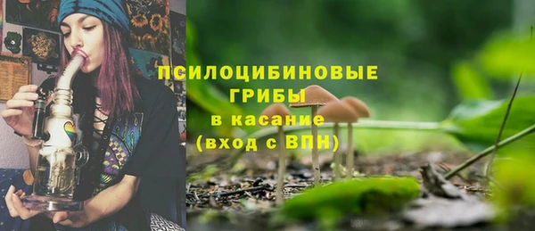 сатива Баксан